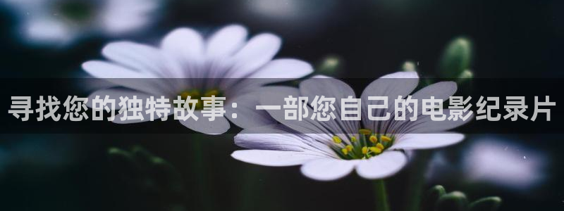 汕尾保利今日影讯：寻找您的独特故事：一部您自己的电影纪录片