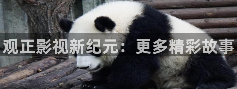北京保利国际影城今日影讯：观正影视新纪元：更多精彩故事