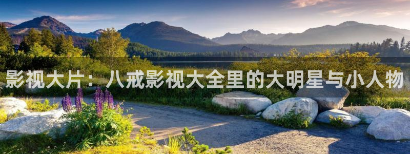 保利电影院官网：影视大片：八戒影视大全里的大明星与小人物